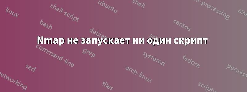 Nmap не запускает ни один скрипт