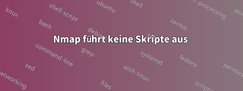 Nmap führt keine Skripte aus