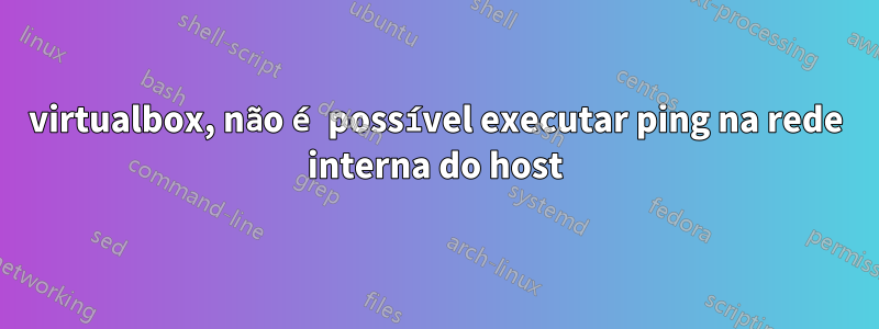 virtualbox, não é possível executar ping na rede interna do host