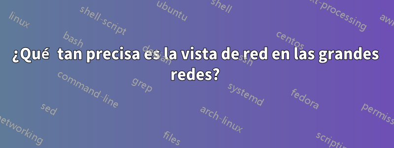 ¿Qué tan precisa es la vista de red en las grandes redes?