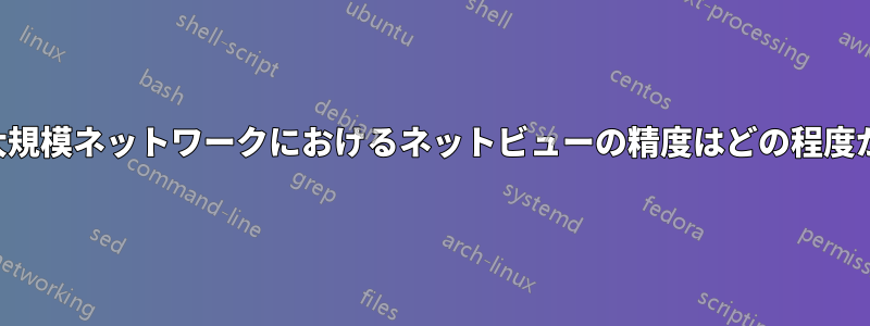 大規模ネットワークにおけるネットビューの精度はどの程度か