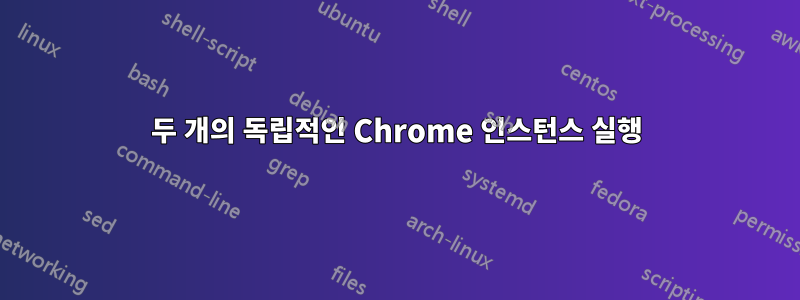 두 개의 독립적인 Chrome 인스턴스 실행