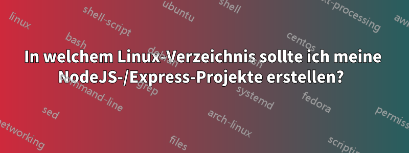 In welchem ​​Linux-Verzeichnis sollte ich meine NodeJS-/Express-Projekte erstellen? 