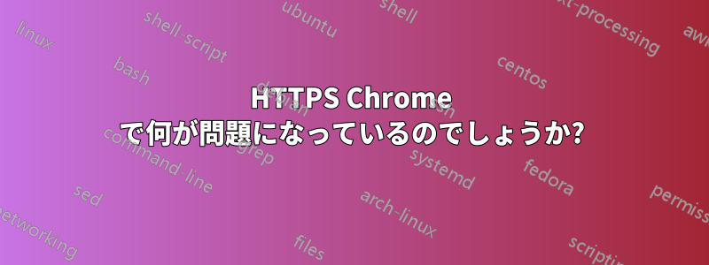 HTTPS Chrome で何が問題になっているのでしょうか?