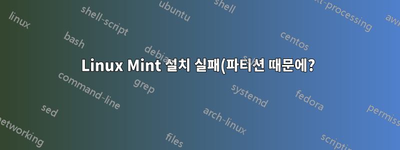 Linux Mint 설치 실패(파티션 때문에?)