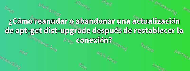 ¿Cómo reanudar o abandonar una actualización de apt-get dist-upgrade después de restablecer la conexión?