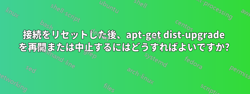 接続をリセットした後、apt-get dist-upgrade を再開または中止するにはどうすればよいですか?