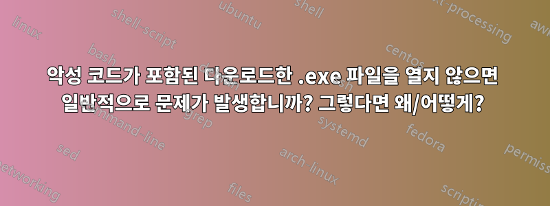 악성 코드가 포함된 다운로드한 .exe 파일을 열지 않으면 일반적으로 문제가 발생합니까? 그렇다면 왜/어떻게?