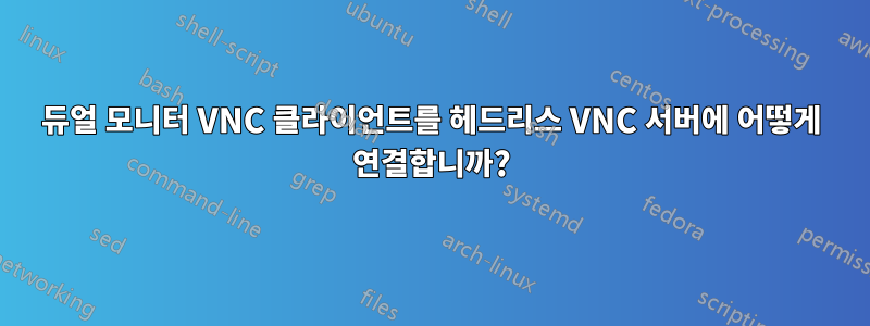 듀얼 모니터 VNC 클라이언트를 헤드리스 VNC 서버에 어떻게 연결합니까?