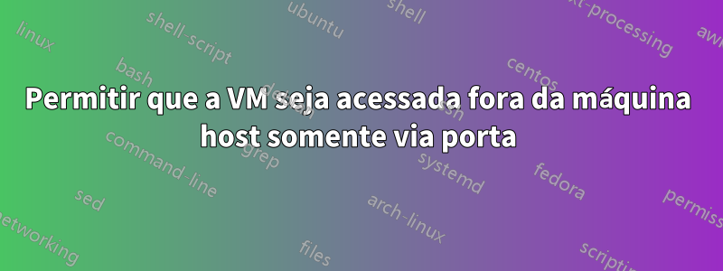 Permitir que a VM seja acessada fora da máquina host somente via porta