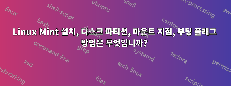 Linux Mint 설치, 디스크 파티션, 마운트 지점, 부팅 플래그 방법은 무엇입니까?