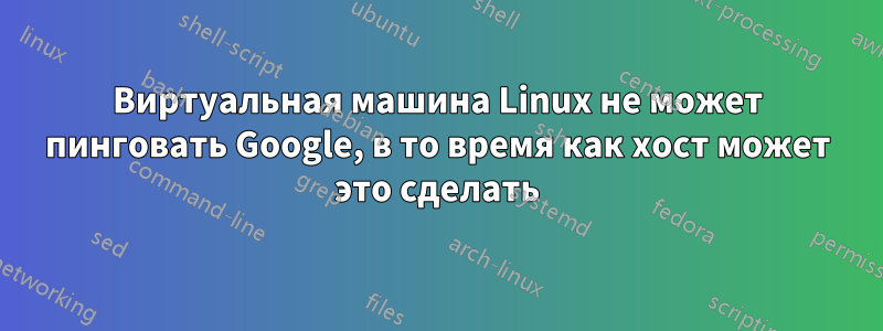 Виртуальная машина Linux не может пинговать Google, в то время как хост может это сделать