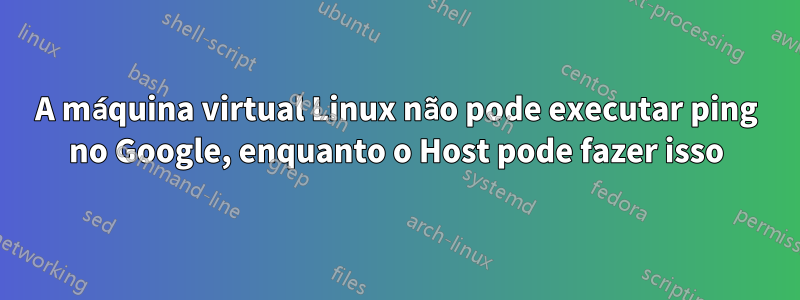 A máquina virtual Linux não pode executar ping no Google, enquanto o Host pode fazer isso