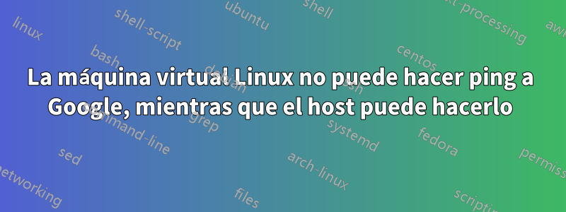 La máquina virtual Linux no puede hacer ping a Google, mientras que el host puede hacerlo