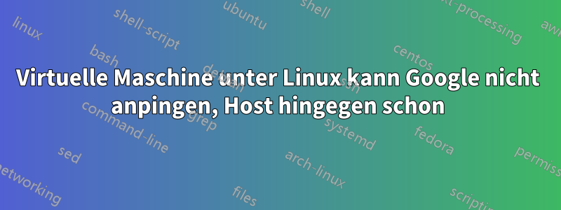 Virtuelle Maschine unter Linux kann Google nicht anpingen, Host hingegen schon