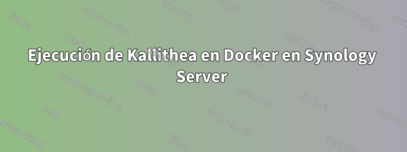 Ejecución de Kallithea en Docker en Synology Server