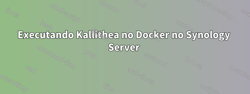 Executando Kallithea no Docker no Synology Server