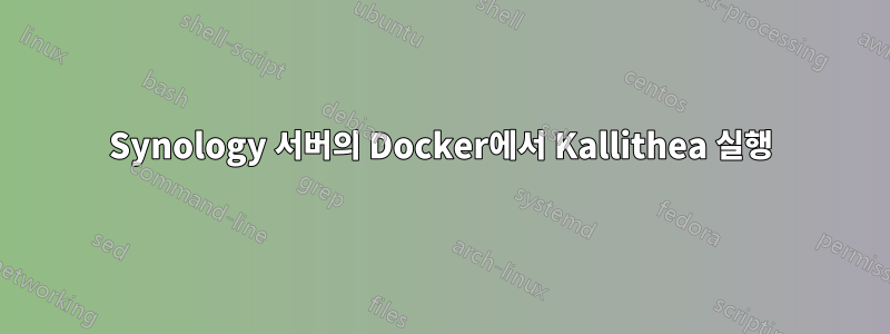 Synology 서버의 Docker에서 Kallithea 실행