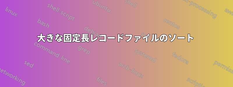 大きな固定長レコードファイルのソート