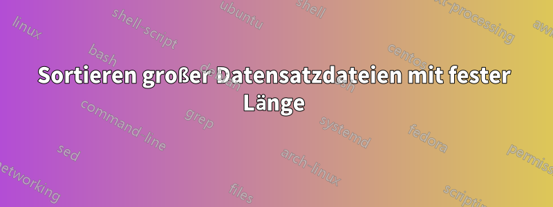 Sortieren großer Datensatzdateien mit fester Länge