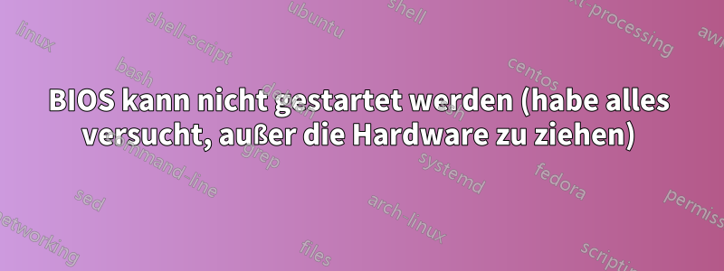 BIOS kann nicht gestartet werden (habe alles versucht, außer die Hardware zu ziehen)