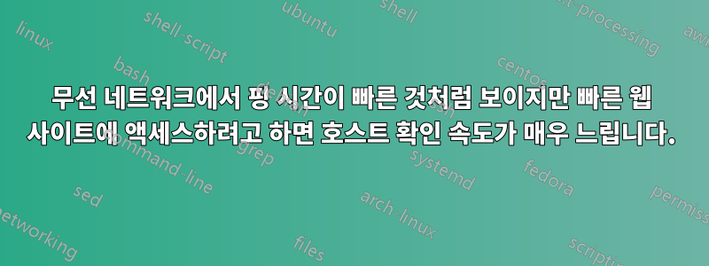 무선 네트워크에서 핑 시간이 빠른 것처럼 보이지만 빠른 웹 사이트에 액세스하려고 하면 호스트 확인 속도가 매우 느립니다.