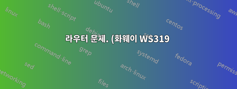 라우터 문제. (화웨이 WS319)