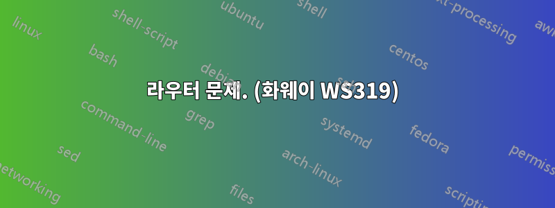 라우터 문제. (화웨이 WS319) 