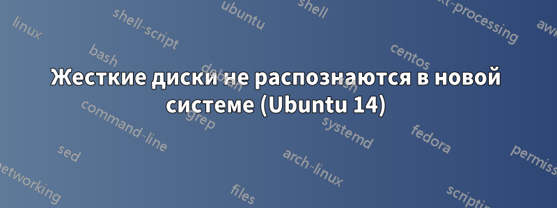 Жесткие диски не распознаются в новой системе (Ubuntu 14)