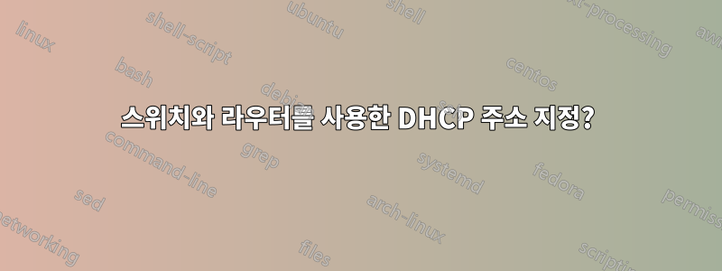 스위치와 라우터를 사용한 DHCP 주소 지정?