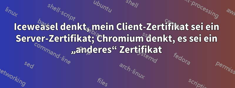 Iceweasel denkt, mein Client-Zertifikat sei ein Server-Zertifikat; Chromium denkt, es sei ein „anderes“ Zertifikat