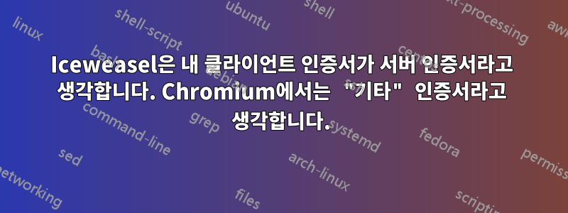 Iceweasel은 내 클라이언트 인증서가 서버 인증서라고 생각합니다. Chromium에서는 "기타" 인증서라고 생각합니다.