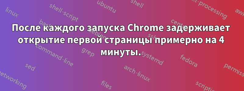 После каждого запуска Chrome задерживает открытие первой страницы примерно на 4 минуты.