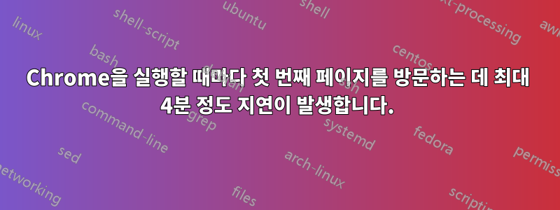 Chrome을 실행할 때마다 첫 번째 페이지를 방문하는 데 최대 4분 정도 지연이 발생합니다.