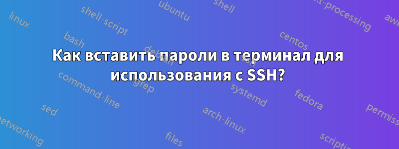 Как вставить пароли в терминал для использования с SSH?