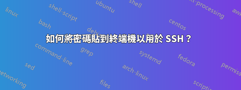 如何將密碼貼到終端機以用於 SSH？