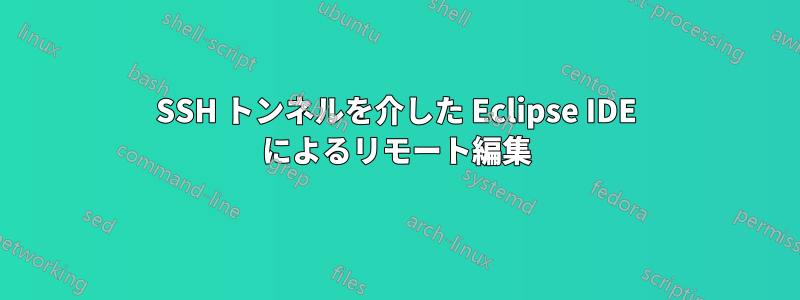 SSH トンネルを介した Eclipse IDE によるリモート編集