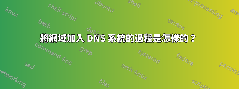 將網域加入 DNS 系統的過程是怎樣的？