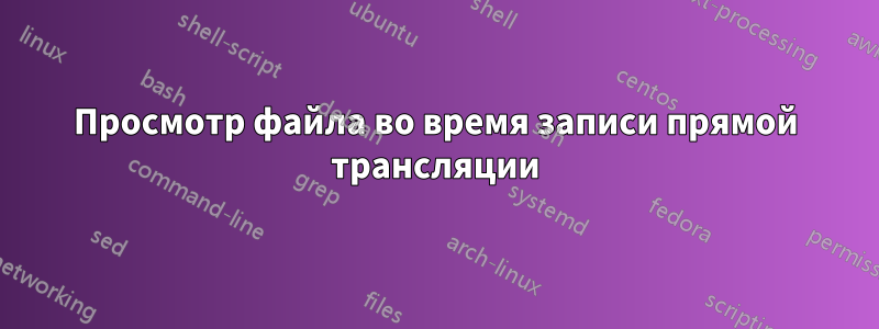 Просмотр файла во время записи прямой трансляции