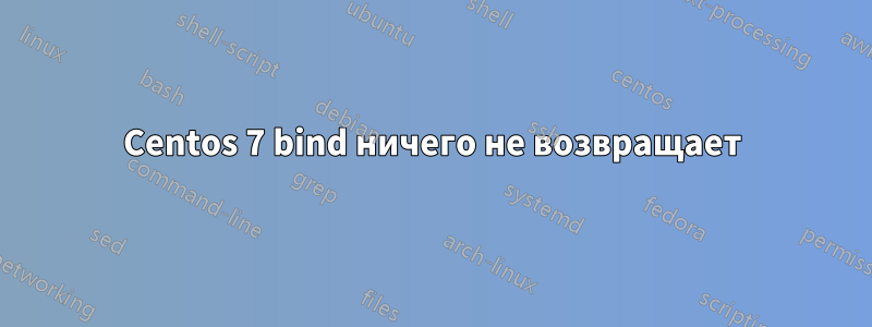 Centos 7 bind ничего не возвращает