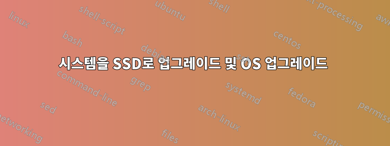 시스템을 SSD로 업그레이드 및 OS 업그레이드