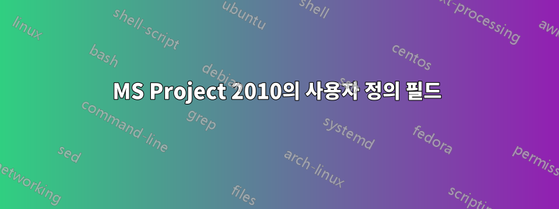 MS Project 2010의 사용자 정의 필드