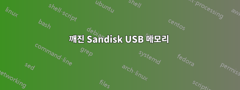 깨진 Sandisk USB 메모리