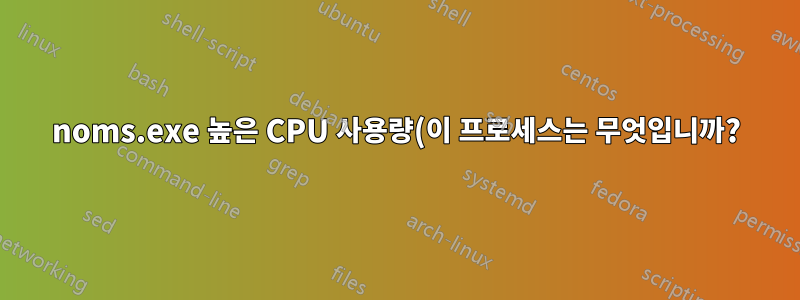 noms.exe 높은 CPU 사용량(이 프로세스는 무엇입니까?)