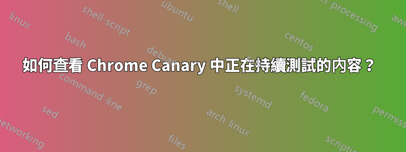 如何查看 Chrome Canary 中正在持續測試的內容？ 