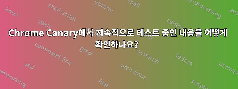 Chrome Canary에서 지속적으로 테스트 중인 내용을 어떻게 확인하나요? 