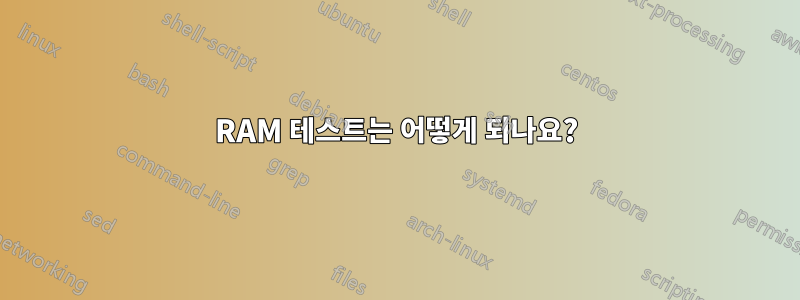 RAM 테스트는 어떻게 되나요?