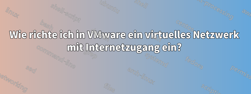 Wie richte ich in VMware ein virtuelles Netzwerk mit Internetzugang ein?