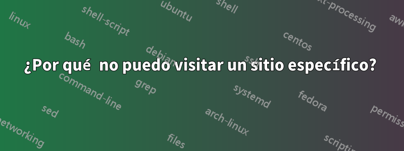 ¿Por qué no puedo visitar un sitio específico?