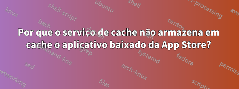 Por que o serviço de cache não armazena em cache o aplicativo baixado da App Store?